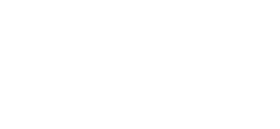 نیٹینٹ logo