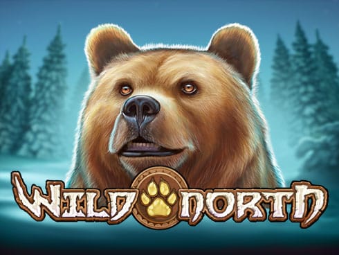 Wild North game icon